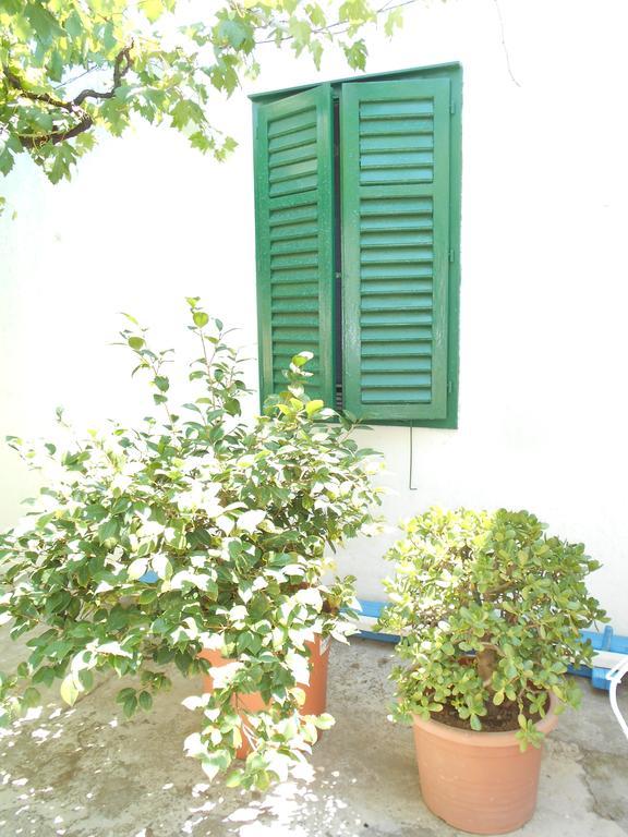 Country house Family House Bacalja